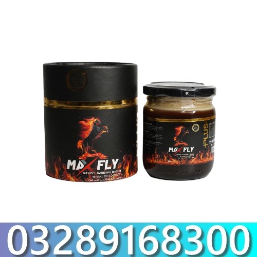 Max Fly Plus Macun Price in Pakistan