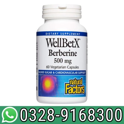 WellBetX Berberine 500mg In Pakistan